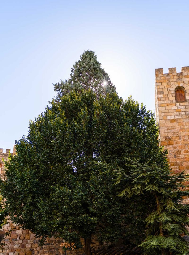 Castillo_de_Villahermosa_del_Rio2